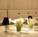 designcuisinebloomberg3